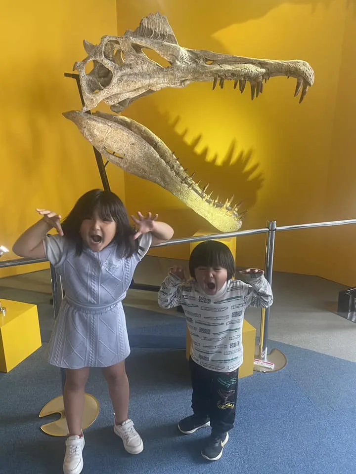 昨日のオダイバ恐竜博覧会🦕🦖🦕の
